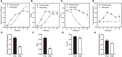 Transcriptome analysis reveals the molecular mechanism of differences in growth between photoautotrophy and heterotrophy in Chlamydomonas reinhardtii